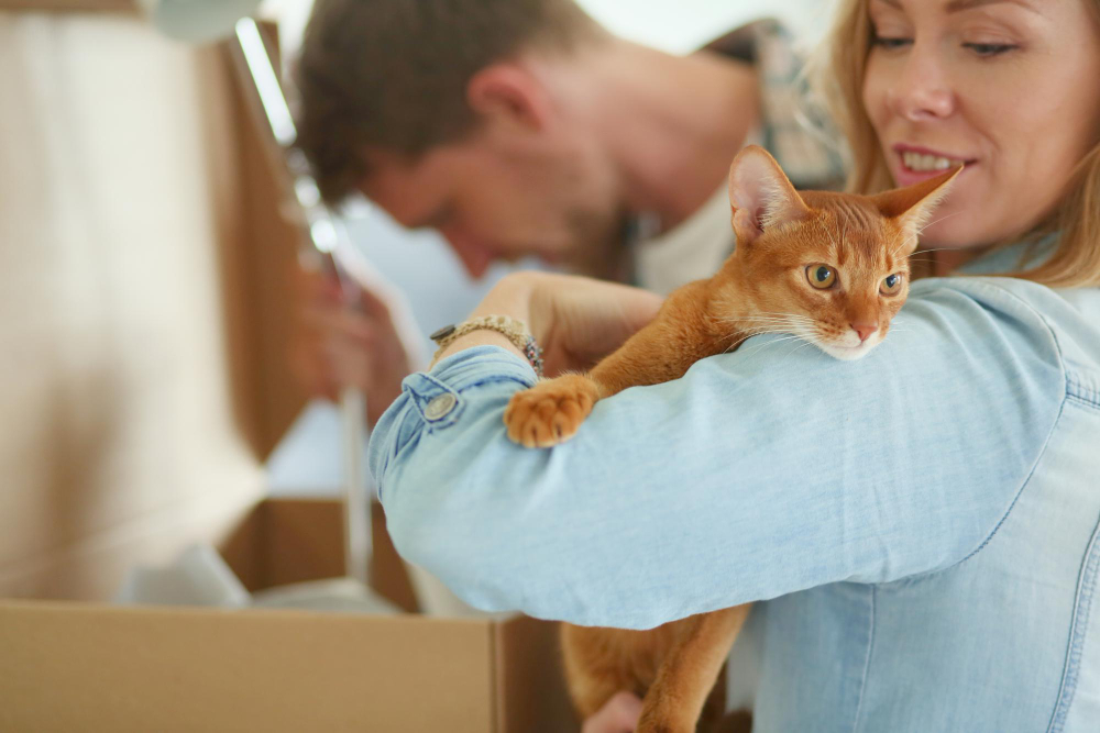 Déménagement : habituez votre chat à sa nouvelle maison